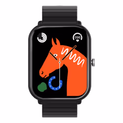 Celly TRAINERMATE2BK smartwatch / sport watch 5.11 cm (2.01") Digital 240 x 296 pixels Touchscreen Black