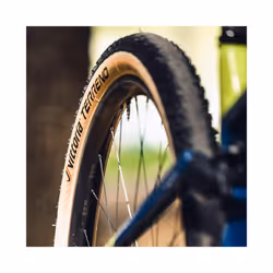 Terreno TLR G2.0 Tyre: Transparent/Black/Black 29X2.25"