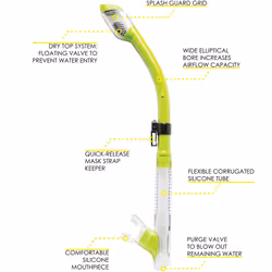 Cressi Tao Dry  Lime