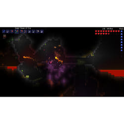 505 Games Terraria