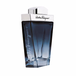 Salvatore Ferragamo Subtil 100 ml, Men, 100 ml
