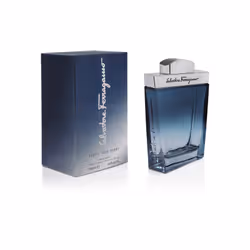 Salvatore Ferragamo Subtil 100 ml Men
