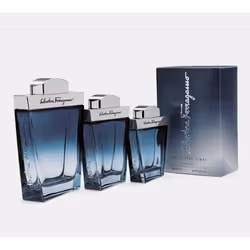 Salvatore Ferragamo Subtil 100 ml Men - Additional view 4