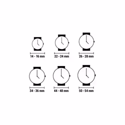 Ladies'Â Watch Chronotech CC7121LS-06 (28 mm)