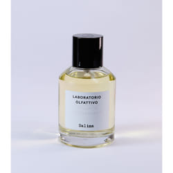 Laboratorio Olfattivo Salina 100 ml