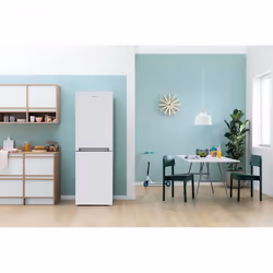Indesit IBNF 55181 W UK 1 fridge-freezer Freestanding 248 L F White