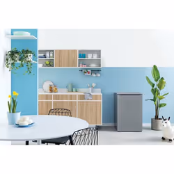 Indesit I55ZM 1110 S 1 freezer Upright freezer Freestanding 103 L F Silver