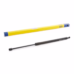 Tailgate strut; MAGNETI MARELLI; 570 595; for LEXUS; 689500E030, 689500W490, 689500W500, 689500W510, 689600E030