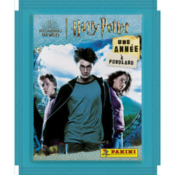 Panini 004387KBF13 collectible trading card