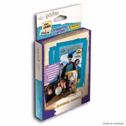 Panini 004387KBF13 collectible trading card