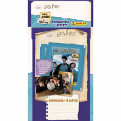 Panini 004387KBF13 collectible trading card
