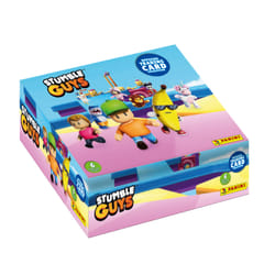 Panini 004841BOX24F collectible trading card