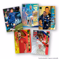 Panini 004892BOX24F collectible trading card