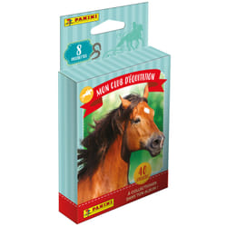 Panini 004899KBF8 collectible trading card