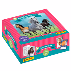 Panini 005011BOX24F