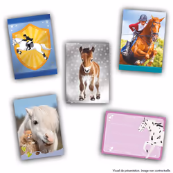 Panini 005011BOX24F collectible trading card