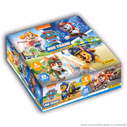 Panini 005016BOX24F