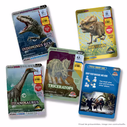 Panini 005257SPAFGD collectible trading card - Additional view 5