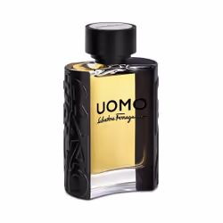 Salvatore Ferragamo Uomo Eau De Toilette 100ml - Additional view 8