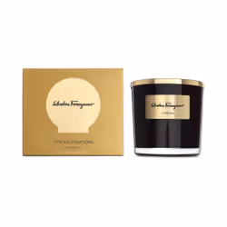 Salvatore Ferragamo Convivio, Round, Black, 1 pc(s)