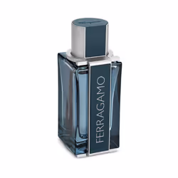 Salvatore Ferragamo Ferragamo Intense Leather 100 ml Men