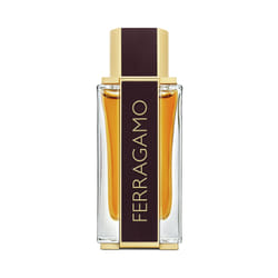Salvatore Ferragamo Ferragamo Spicy Leather Eau De Parfum 100ml