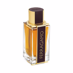 Salvatore Ferragamo Ferragamo Spicy Leather Eau De Parfum 100ml