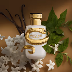 Roberto Cavalli JRC25004B perfume extract Women 50 ml - Additional view 3