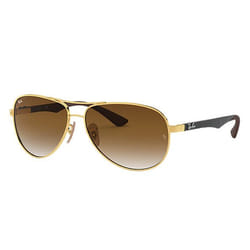 Ray-Ban RB8313 sunglasses Aviator