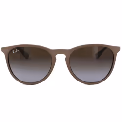 Ray-Ban Erika Silver Women's Sunglasses RB4171