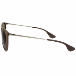 Ray-Ban Erika Silver Women's Sunglasses RB4171