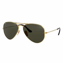 Ray-Ban AVIATOR HAVANA COLLECTION, Adult, Unisex, Aviator, Gold, Non-polarized lens, Metal