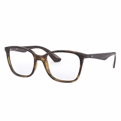 Ray-Ban RB7066, Adult, Unisex, Square, Tortoise, Brown, Non-polarized lens, Nylon