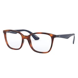 Ray-Ban RB7066 sunglasses Square