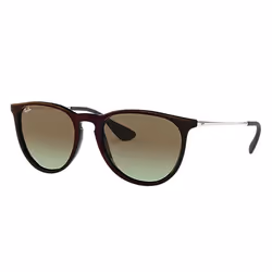 Ray-Ban ERIKA CLASSIC, Adult, Unisex, Aviator, Silver, Black, Non-polarized lens, Nylon