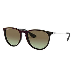 Ray-Ban ERIKA CLASSIC sunglasses Aviator