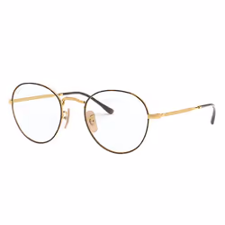 Ray-Ban ROUND METAL OPTICS II, Adult, Unisex, Round, Tortoise, Gold, Non-polarized lens, Metal