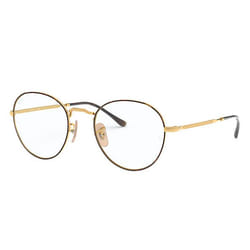 Ray-Ban ROUND METAL OPTICS II sunglasses