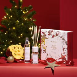 Millefiori Panettone Classico Gift Set, Fragrance bottle, Reed aroma diffuser