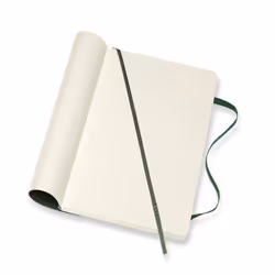 Moleskine Classic writing notebook 192 sheets Green