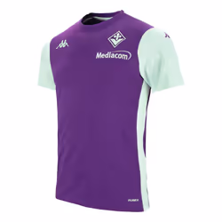 2024-2025 Fiorentina Tee (Indigo) - S