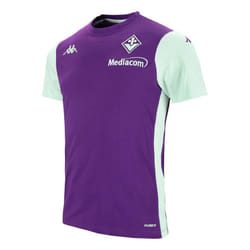 2024-2025 Fiorentina Tee (Indigo) - S