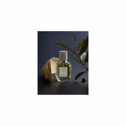 Astrophil & Stella Moonage Daydream Extrait De Parfum 50 ml