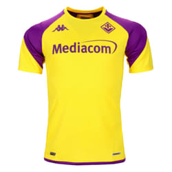 2023-2024 Fiorentina Training Shirt (Yellow) - M