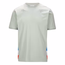 2023 Alpine Mens T-Shirt (Light Grey) - S