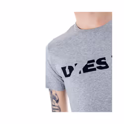DIESEL T DIEGO BROK Mens Grey T Shirt Short Sleeve Crew Neck Casual Cotton Tee - S