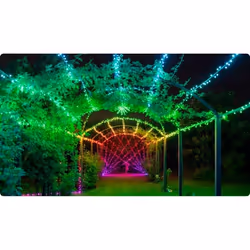Twinkly Cluster string light