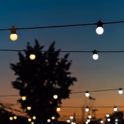 Twinkly Festoon (Gold & Silver) Smart garden lighting