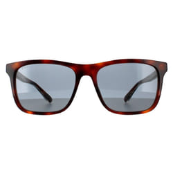 Gucci Sunglasses GG0381SN 009 Havana Blue