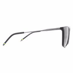 Polo Ralph Lauren Sunglasses PH4163 532087 Transparent Shiny Grey Grey